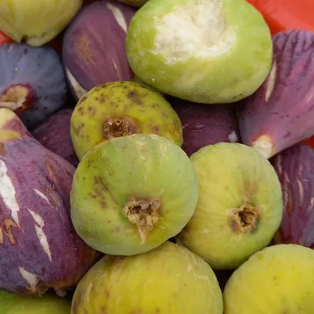 Romantico Monolocale *