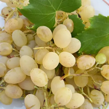 Romantico Monolocale Torre Vado