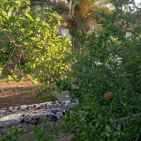 Romantico Monolocale