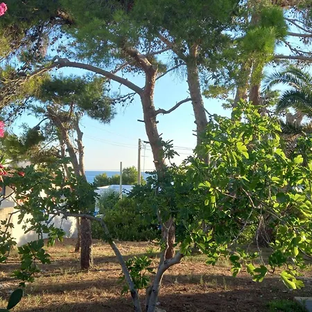 Romantico Monolocale Сasa de vacaciones *