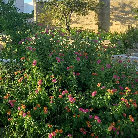 Romantico Monolocale Σπίτι διακοπών *