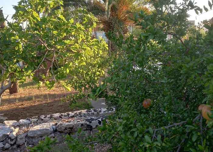 Romantico Monolocale